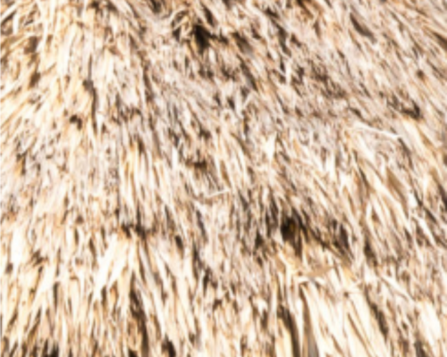 Thatch swatch